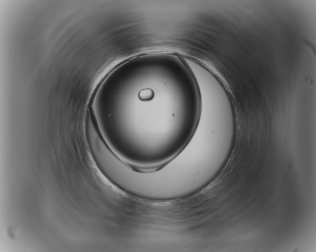 X0000103221484200809040952