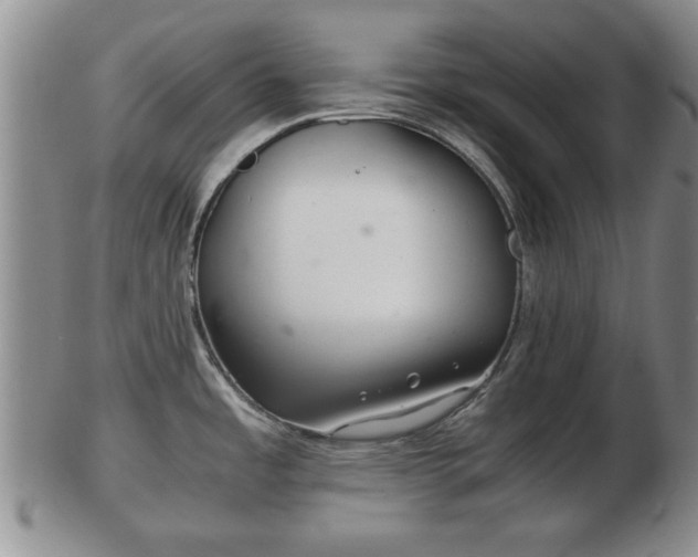 X0000103221485200809040952