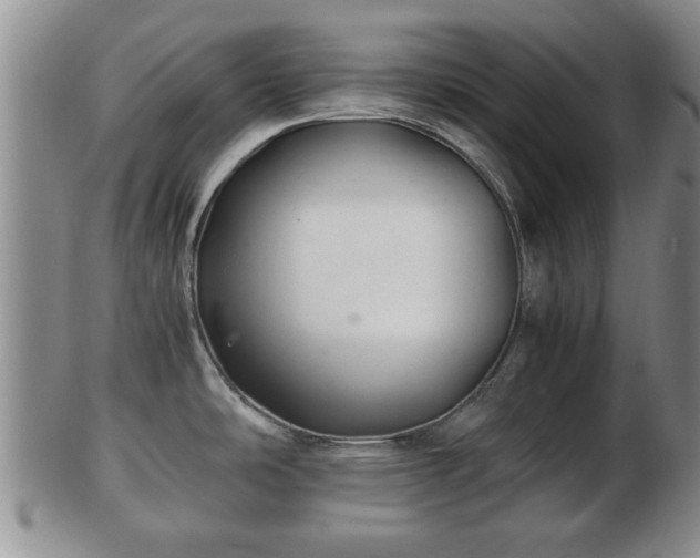 X0000103221486200809040952