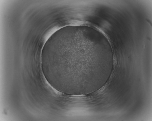 X0000103221487200809040952