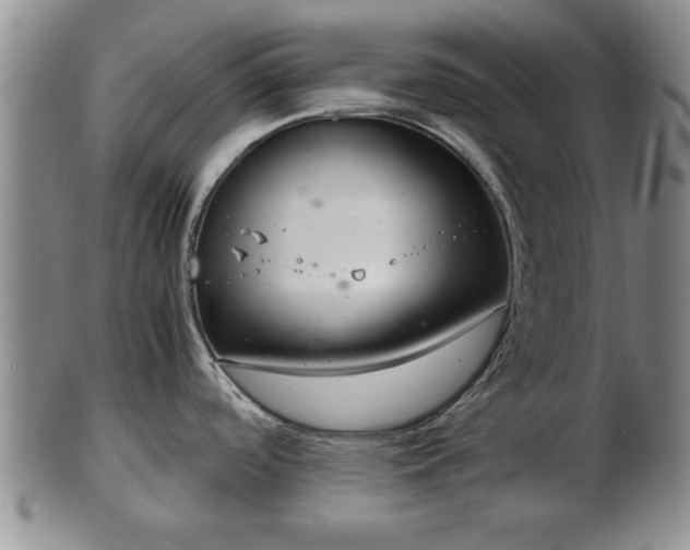 X0000103221488200809040952