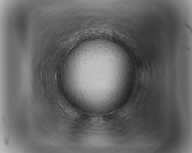 X0000103221489200809040951