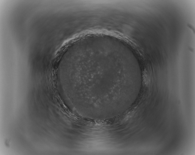 X0000103221494200809040951