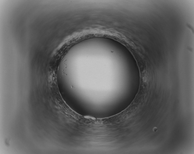 X0000103221495200809040951