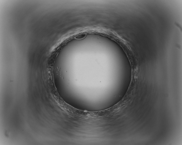 X0000103221496200809040951