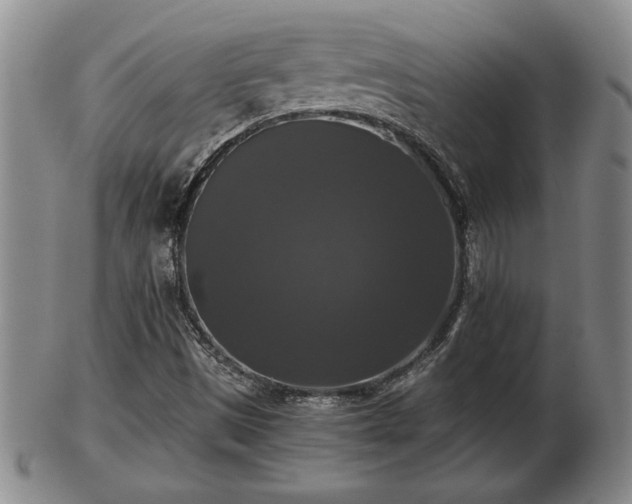 X0000103221497200809040951