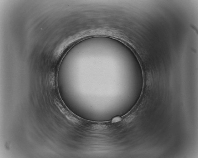 X0000103221499200809040951