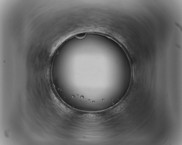 X0000103221500200809040951