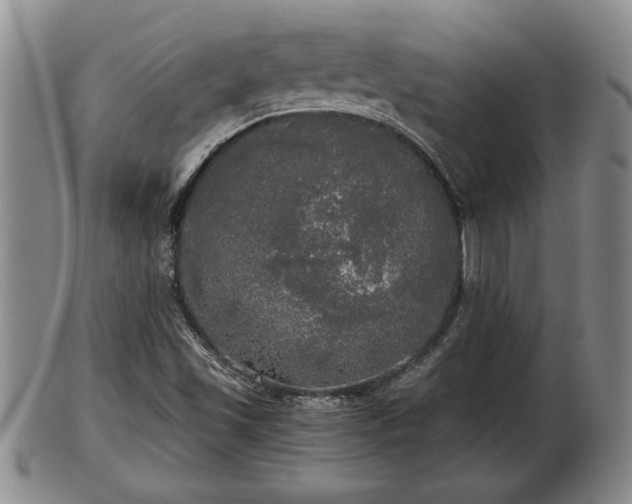 X0000103221501200809040951