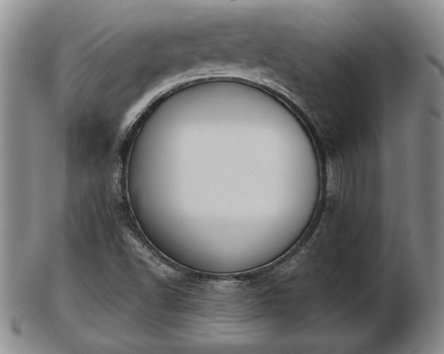 X0000103221502200809040951