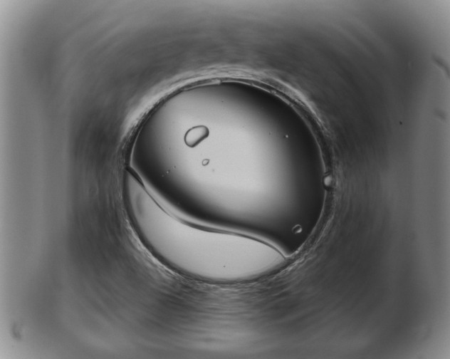 X0000103221504200809040951