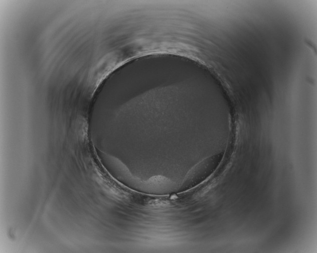 X0000103221505200809040951