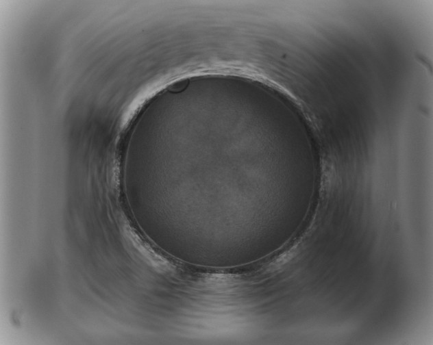 X0000103221506200809040951