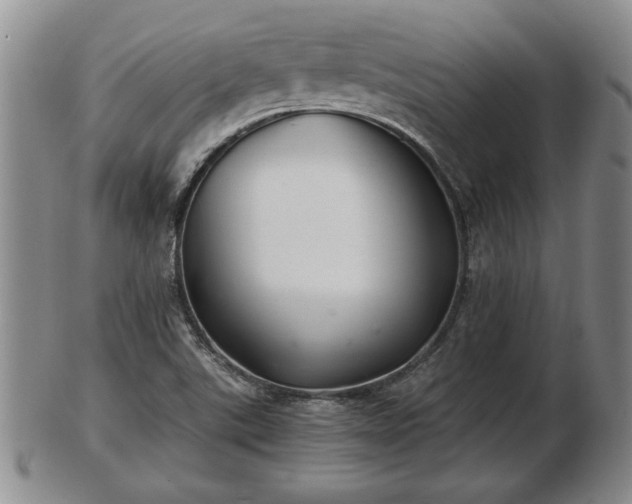 X0000103221507200809040951