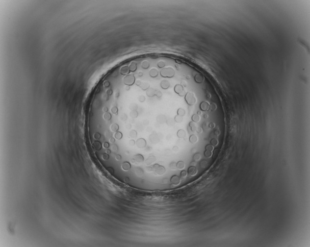 X0000103221508200809040951