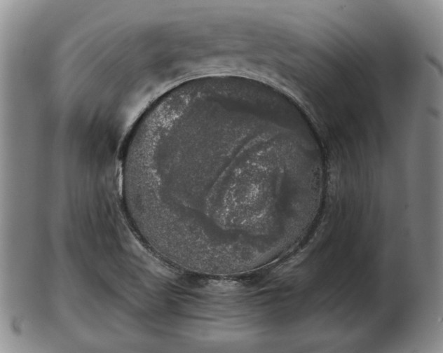 X0000103221509200809040951