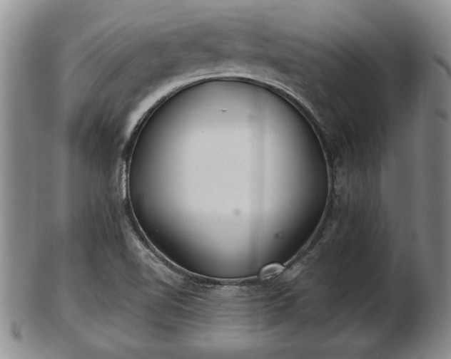 X0000103221510200809040951