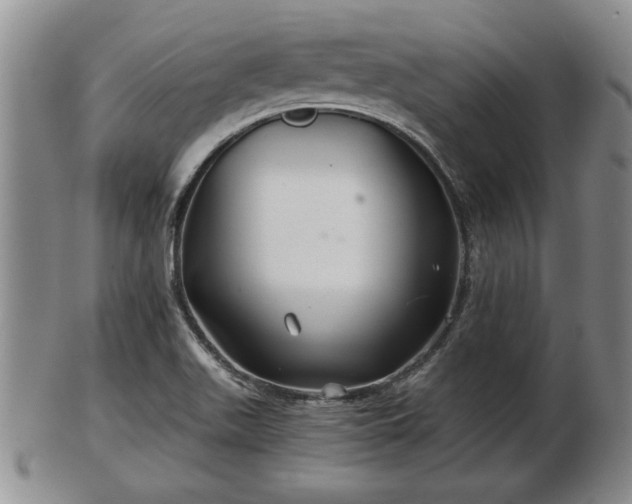 X0000103221511200809040951