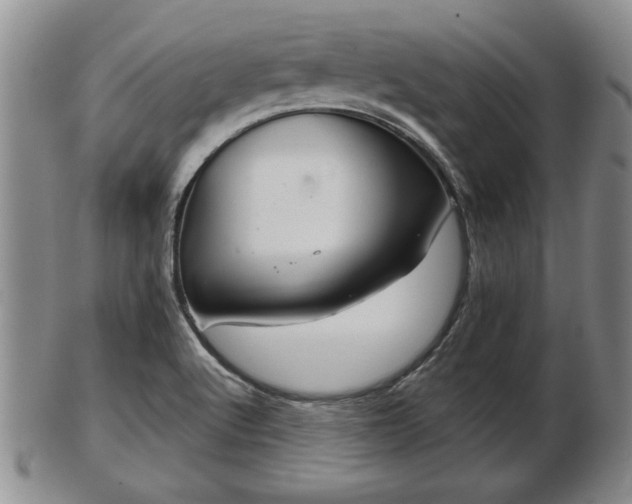 X0000103221512200809040951