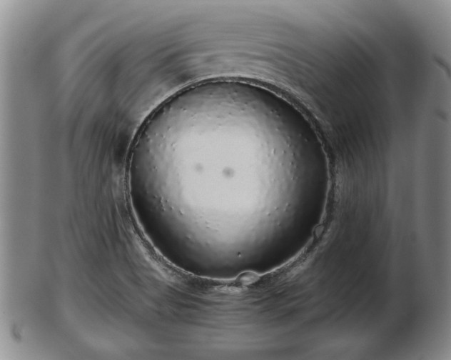 X0000103221513200809040951