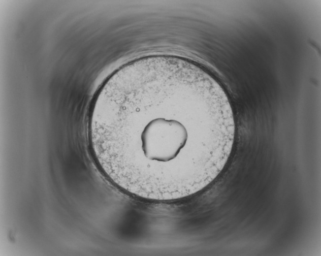 X0000103221514200809040951