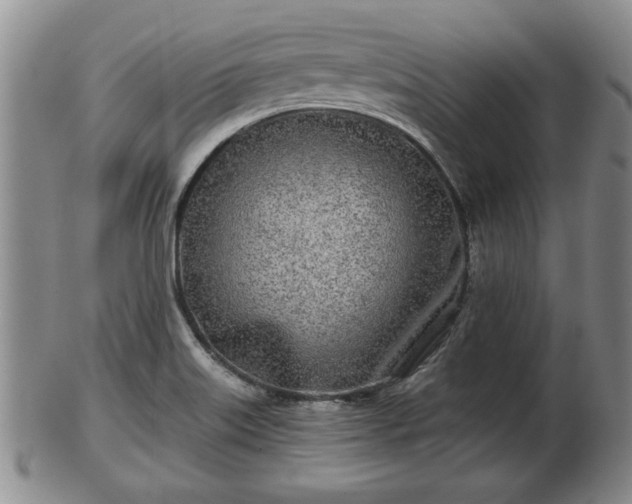 X0000103221515200809040951