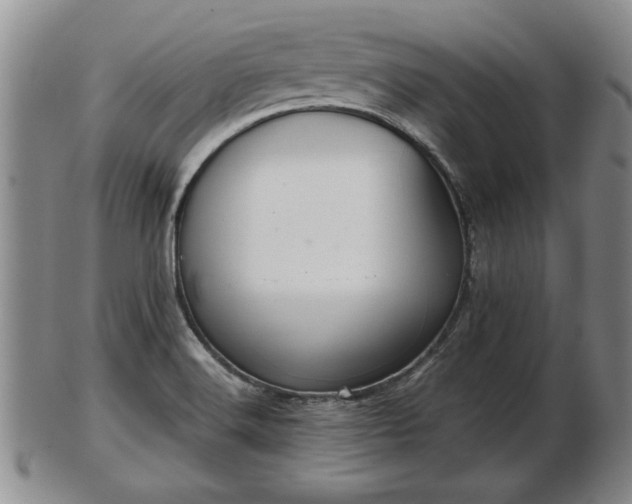 X0000103221516200809040951