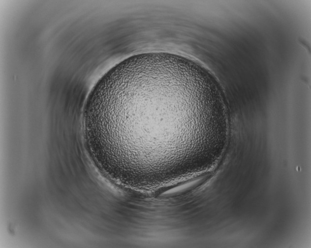 X0000103221517200809040952