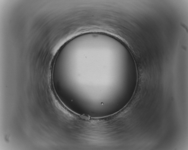 X0000103221518200809040952