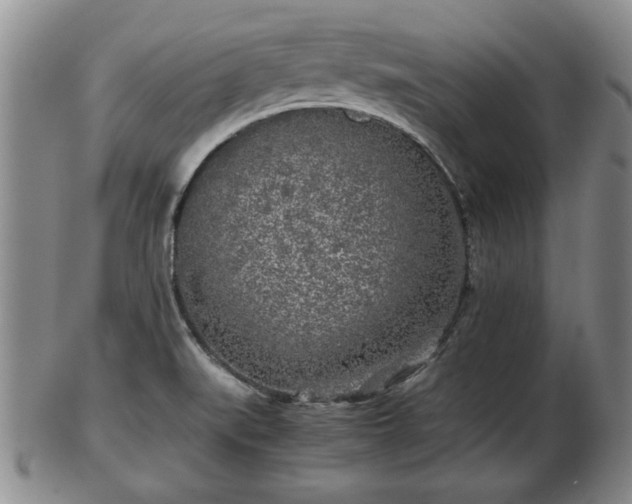 X0000103221519200809040952