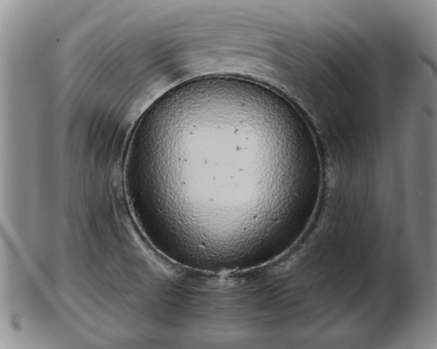 X0000103221521200809040952