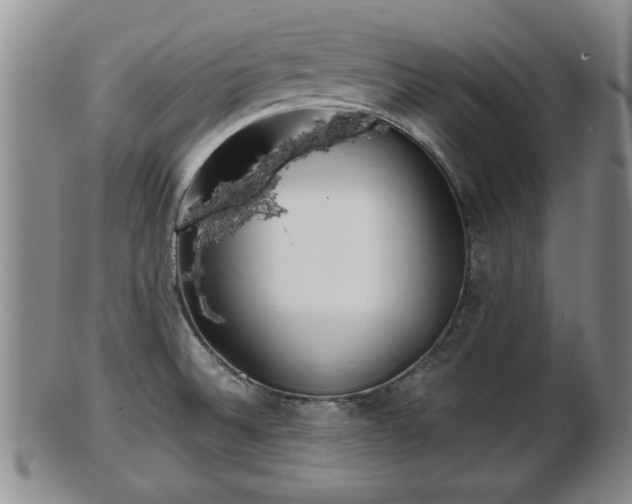 X0000103221524200809040952