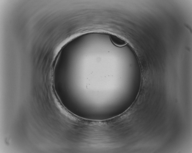 X0000103221526200809040952