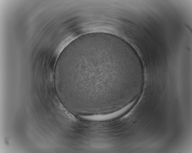 X0000103221529200809040952