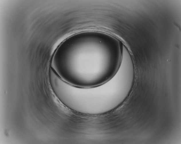 X0000103221530200809040952