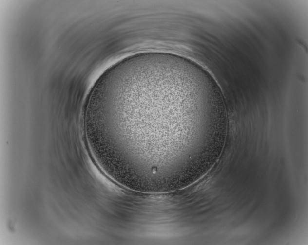 X0000103221531200809040952