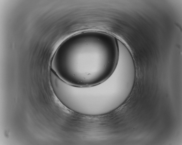 X0000103221532200809040952