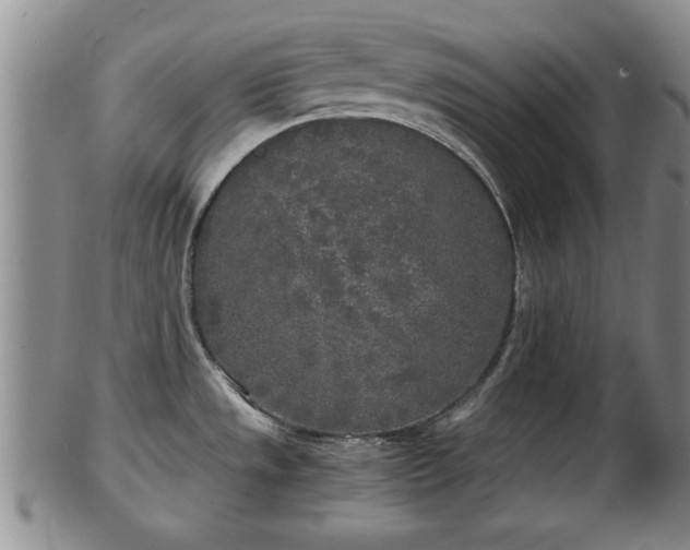 X0000103221533200809040952