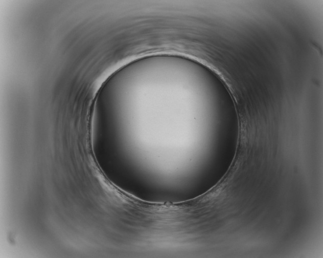 X0000103221534200809040952