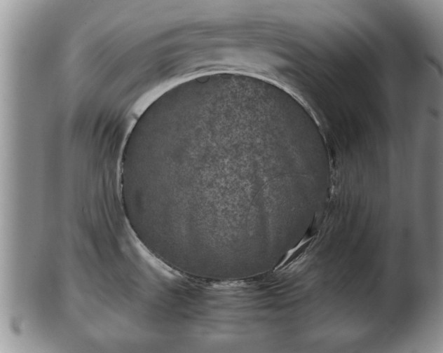 X0000103221535200809040952