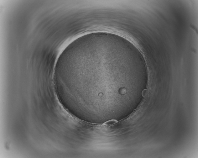 X0000103221536200809040952