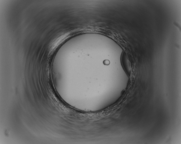 X0000103220005200809111518