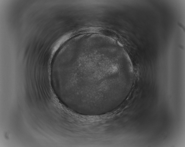 X0000103220006200809111518