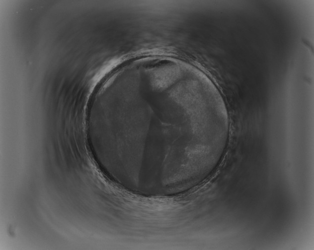 X0000103220008200809111518