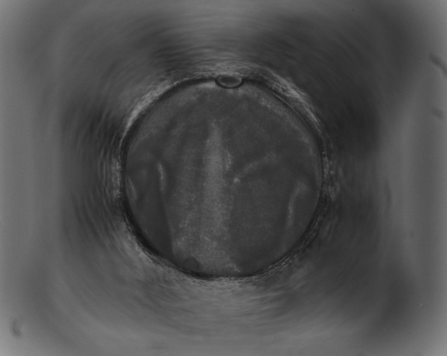 X0000103220012200809111518