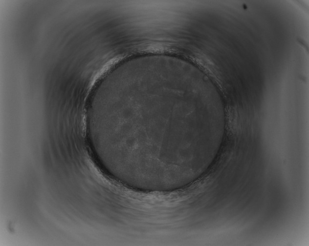 X0000103220016200809111518