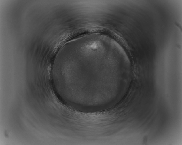 X0000103220018200809111518