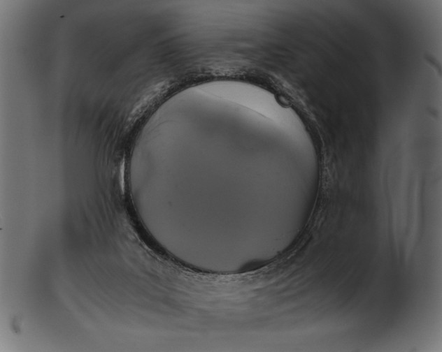 X0000103220019200809111518