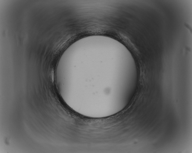 X0000103220021200809111518