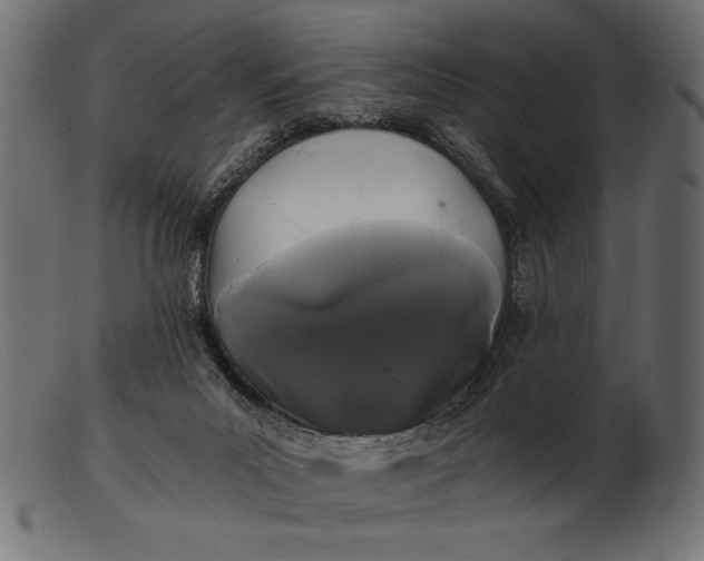 X0000103220023200809111518